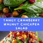 Cranberry Walnut Chickpea Salad with Orange Vinaigrette Recipe