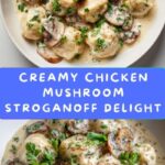 Chicken Mushroom Stroganoff Recipe