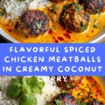 Spiced Chicken Meatballs in Coconut Curry Recipe
