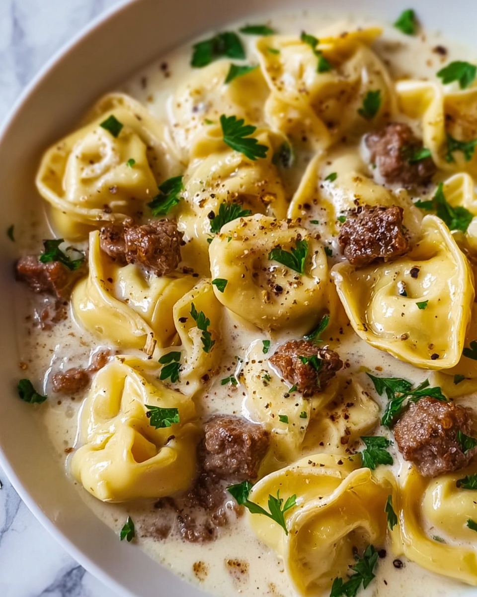 Beef Tortellini Alfredo Recipe - Recipe Image
