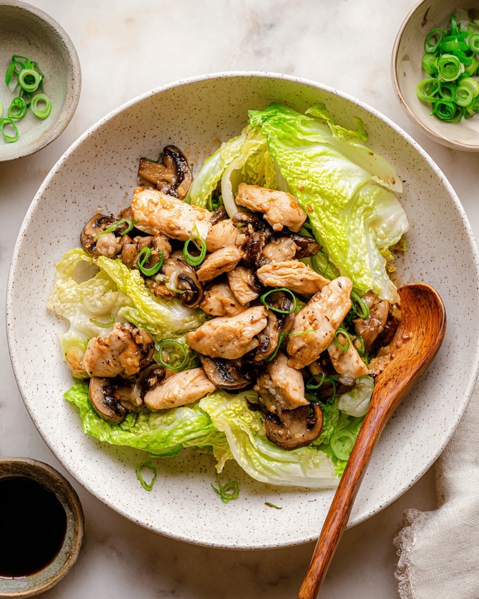 Chinese Chicken Cabbage Stir-Fry Recipe - Recipe Image